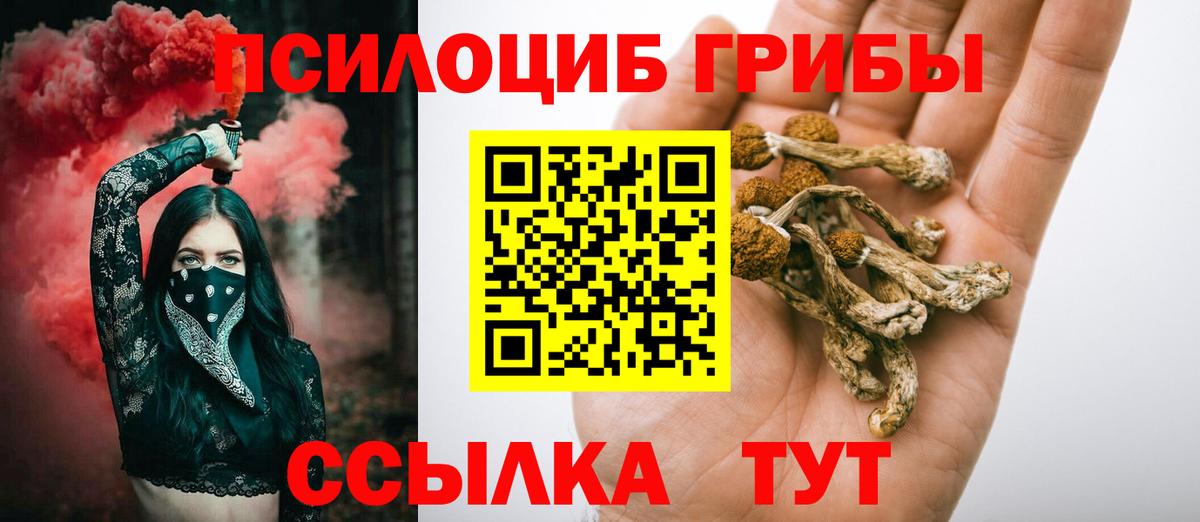 Галлюциногенные грибы Psilocybine cubensis Нальчик